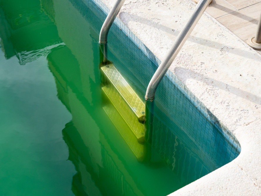 piscina verde